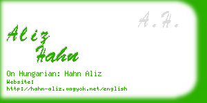 aliz hahn business card